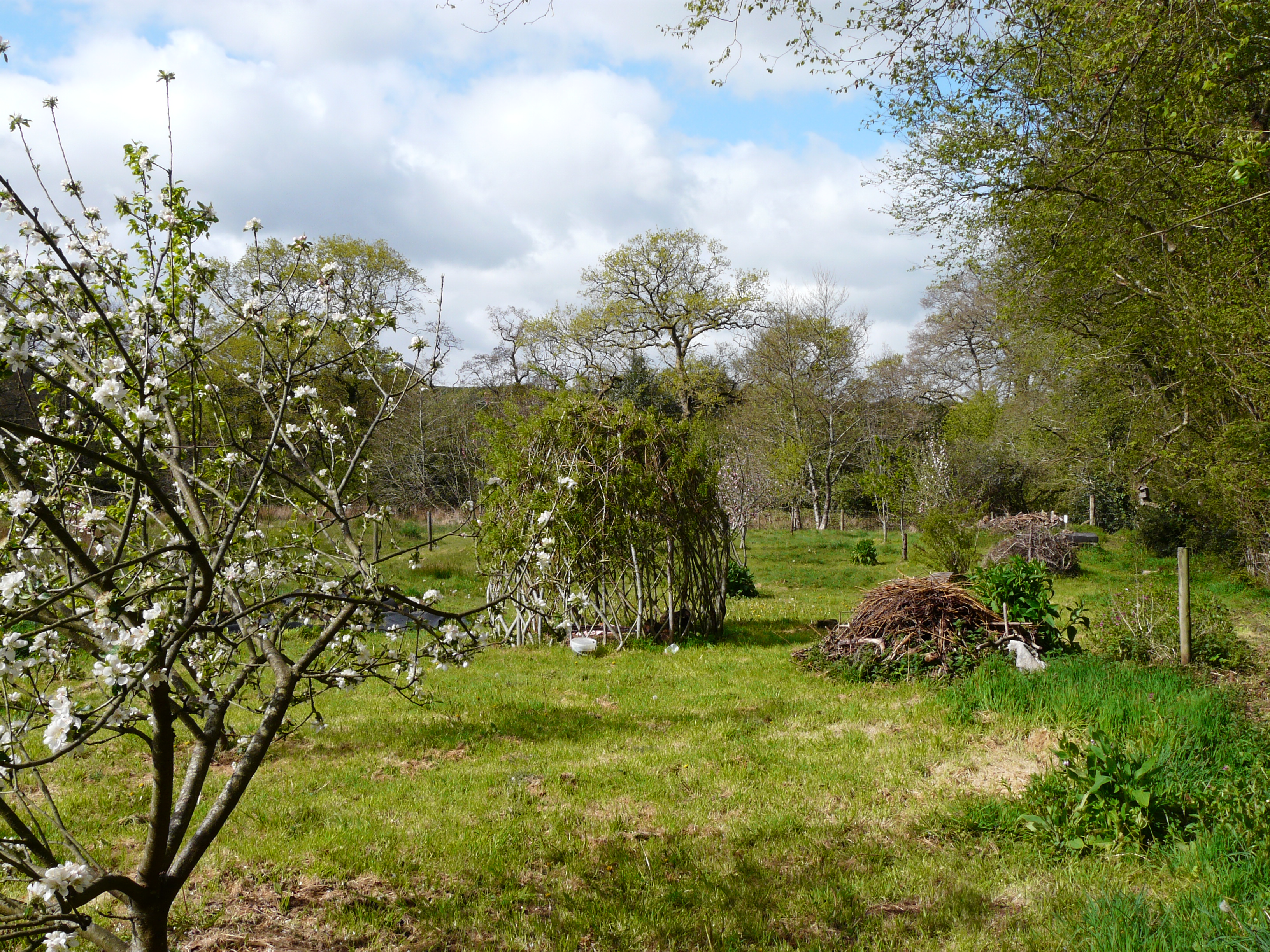 Community Orchard